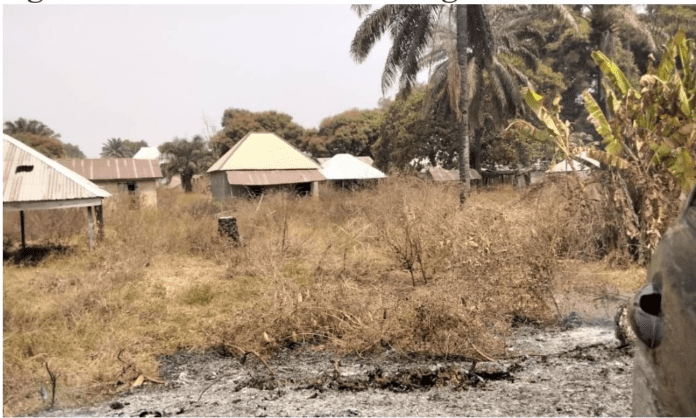 Some deserted houses, outgrown by weeds in Ugbobi. Photo credit: Steven Kefas/Truth Nigeria