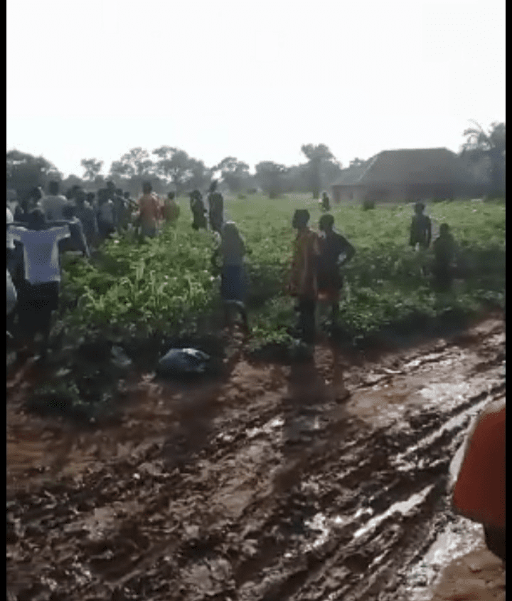 Residents of the village of Egwuma, in Agatu County of Benue State, look for bodies of loved ones in the fields after a brutal attack by Islamists on Sunday morning, July 14, 2024.  Credit: Mike Odeh James
