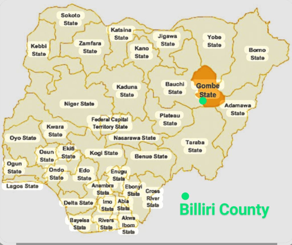 May of Nigeria showing Gombe state and Billiri County. Courtesy: Segun Onibiyo