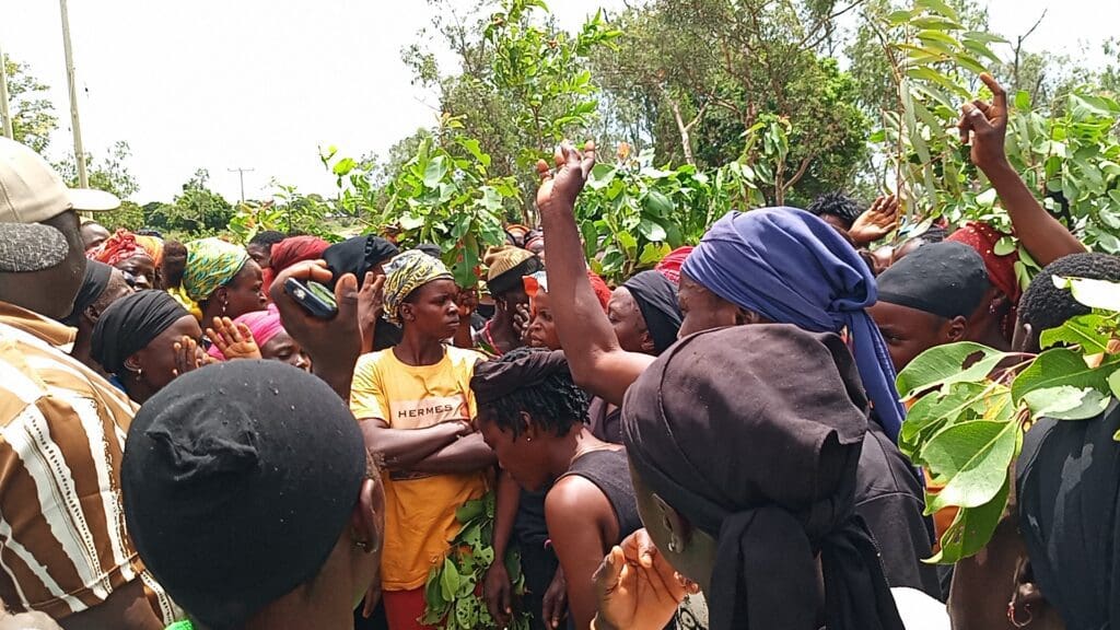 Women hold leaves in a peaceful protest advocating for the withdrawal of the Nigerian Army in response to the tragic ambush that claimed the lives of three individuals near a military checkpoint on June 4th, 2025. Photo Credit: Lawrence Zongo.