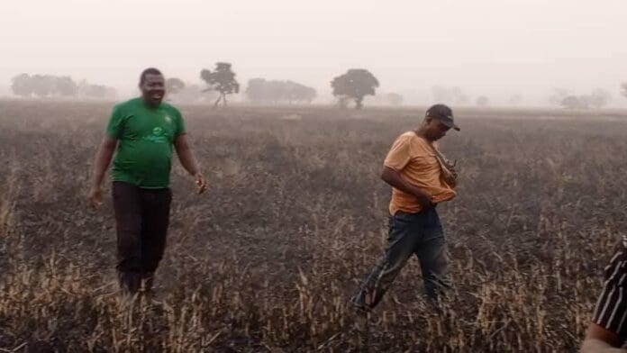 Tarnongo Tiza Timothy, Founder of Agbucity Farm, inspecting his burnt rice farm Credit: Ekani Olikita