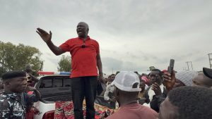 Terrorists Target Civilian Guards as Nigeria Draws Renewed Global Attention